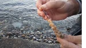 Dalyan Oltacılık | Profesyonel Yem Bağlama Teknikleri ve Malzeme Kalitesi Dalyan Oltacılık | Profesyonel Yem Bağlama Teknikleri ve Malzeme Kalitesi
